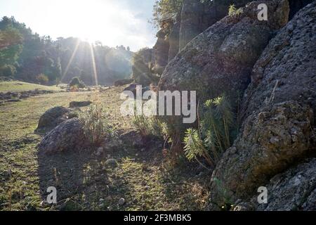 Paysage de vallée de montagne ensoleillé et formations rocheuses. Banque D'Images