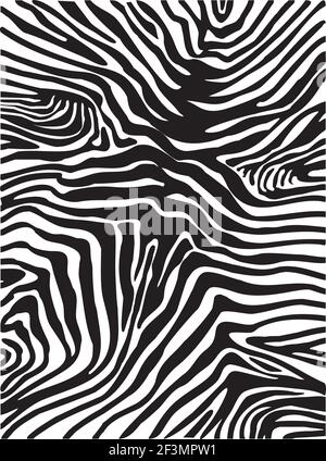 Arrière-plan peau de zébré Illustration de Vecteur