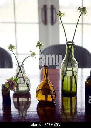 Fleurs dans des bouteilles de couleur sur la table aux Etats-Unis Banque D'Images