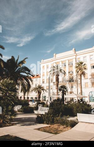 Magnifique parc dans la ville de Croatie avec palmiers et buissons verts. Vue sur la rue Banque D'Images