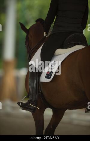 Cavalier de dressage équestre dans le siège de dressage approprié montrant le grand noir bottes de dressage beige jodhpurs anglais cuir dressage selle blanc selle bloc Banque D'Images