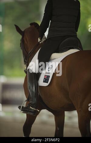 Cavalier de dressage équestre dans le siège de dressage approprié montrant le grand noir bottes de dressage beige jodhpurs anglais cuir dressage selle blanc selle bloc Banque D'Images