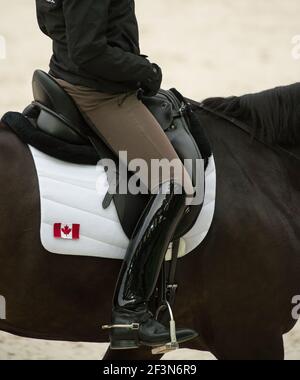 Cavalier de dressage équestre dans le siège de dressage approprié montrant le grand noir bottes de dressage beige jodhpurs anglais cuir dressage selle blanc selle bloc Banque D'Images