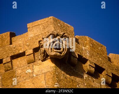 Les gargouilles sont des grotesques sculptées qui transportent l'eau loin du toit. Banque D'Images