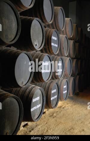 La ville de Jerez est considérée comme la maison du sherry, qui est un vin fortifié. Les grands labels de sherry ont de grands bodegas où l'on peut apprendre le HIS Banque D'Images