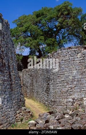 Les ruines du Grand Zimbabwe sont un ancien complexe forteresse du palais Shona et un site classé au patrimoine mondial de l'UNESCO, datant du XIe siècle. Banque D'Images