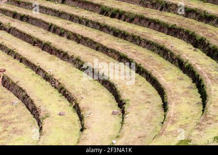 L'Inca a construit des terrasses agricoles sur la colline escarpée, qui sont encore en usage aujourd'hui. Ils ont créé les terrasses en transportant des sols plus riches Banque D'Images