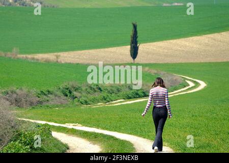 Jeune femme brune à cheveux courts vue de derrière marche un chemin dans le champ vert Banque D'Images