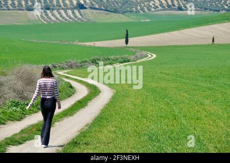 Jeune femme brune à cheveux courts vue de derrière marche un chemin dans le champ vert Banque D'Images