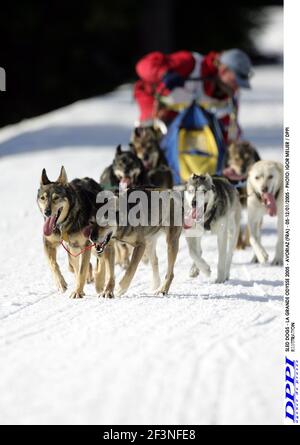 CHIENS DE TRAÎNEAU - LA GRANDE ODYSSE 2005 - AVORIAZ (FRA) - 05-12/01/2005 - PHOTO: IGOR MEIJER / ILLUSTRATION DPPI Banque D'Images