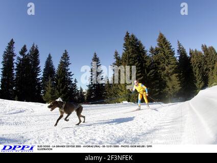 CHIENS DE TRAÎNEAU - LA GRANDE ODYSSE 2005 - AVORIAZ (FRA) - 05-12/01/2005 - PHOTO: IGOR MEIJER / ILLUSTRATION DPPI Banque D'Images