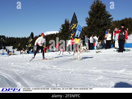 CHIENS DE TRAÎNEAU - LA GRANDE ODYSSE 2005 - AVORIAZ (FRA) - 05-12/01/2005 - PHOTO: IGOR MEIJER / ILLUSTRATION DPPI Banque D'Images