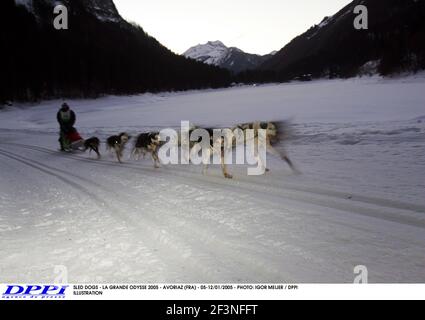 CHIENS DE TRAÎNEAU - LA GRANDE ODYSSE 2005 - AVORIAZ (FRA) - 05-12/01/2005 - PHOTO: IGOR MEIJER / ILLUSTRATION DPPI Banque D'Images