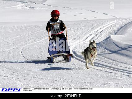 CHIENS DE TRAÎNEAU - LA GRANDE ODYSSE 2005 - AVORIAZ (FRA) - 05-12/01/2005 - PHOTO: IGOR MEIJER / ILLUSTRATION DPPI Banque D'Images