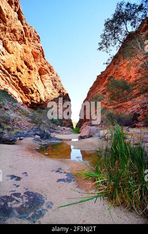 Australie, territoire du Nord, McDonnell Range, Simpsons Gap Banque D'Images