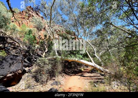 Australie, territoire du Nord, sentier à Standley Chasm, parc national de Macdonnell Banque D'Images