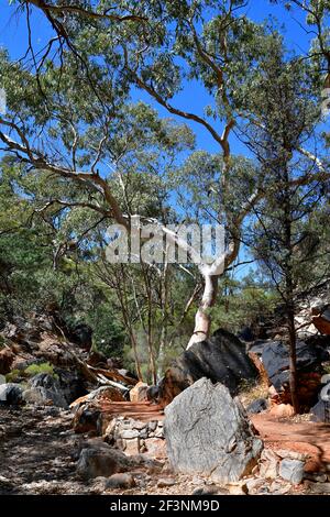 Australie, territoire du Nord, sentier à Standley Chasm, parc national de Macdonnell Banque D'Images