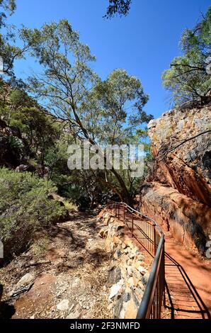 Australie, territoire du Nord, sentier à Standley Chasm, parc national de Macdonnell Banque D'Images