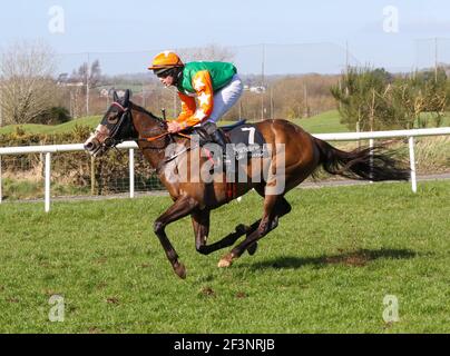 Down Royal Racecourse, Lisburn, County Antrim, Northern Ieland, Royaume-Uni. 17 mars 2021. St Patrick's Day Race Meeting 2021 - Adare Manor Opportunity handicap. La course a été remportée par No Thanks (numéro 7), monté par Dillon Maxwell et entraîné par Matthew J Smith. Crédit : CAZIMB/Alamy Live News. Banque D'Images