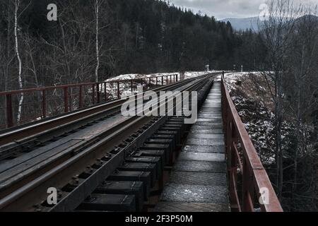 Pont ferroviaire entre les montagnes enneigées. Voyages. Transport. Banque D'Images