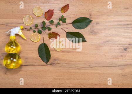 Remède naturel au citron.Spray pour nettoyer les surfaces.Aérosol pour air sur une table en bois avec des coins de citron.Espace latéral vide pour le texte ou les publicités. Banque D'Images