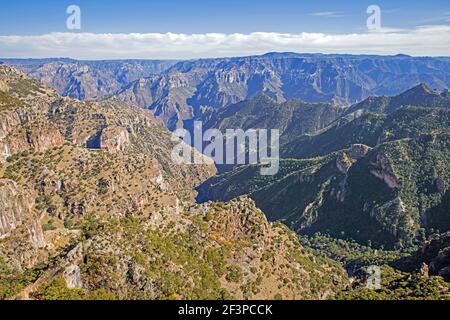 Vue sur le Copper Canyon / Barrancas del Cobre à proximité El Divisadero dans la Sierra Madre Occidental dans Chihuahua in Nord-Ouest du Mexique Banque D'Images