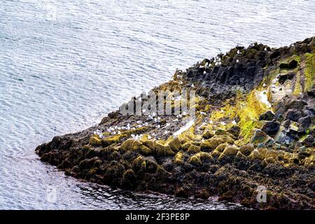 Vue panoramique sur le paysage rocheux près de la célèbre arche de Gatklettur rock près du parc national Hellnar Péninsule de Snaefellsnes en Islande jour d'été et mer Banque D'Images