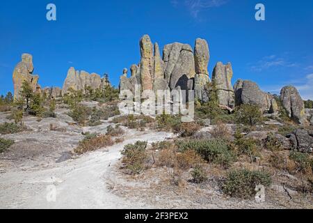 Formations rocheuses allongées dans la Vallée des Monks / Valle de los Monjes / Bisabirachi près de Creel dans Alta Sierra Tarahumara, Chihuahua, Mexique Banque D'Images