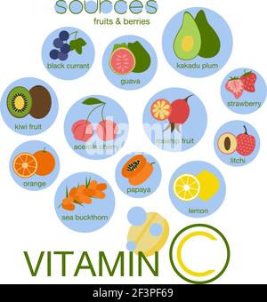 Sources de vitamine C. Ensemble fruits et baies. Dans le concept tiré à la main de boisson gazeuse. Illustration vectorielle. Cassis, goyave, kakadu prune, cerisier d'acérola, fraise, kiwi, papaye, orange, rosehip, argousier, litchi citron Illustration de Vecteur