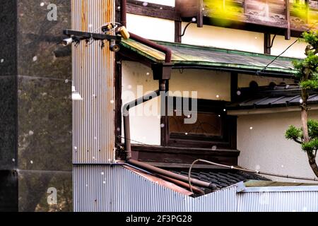 Architecture de quartier résidentiel de Kyoto au printemps avec fleur de cerisier Pétales tombant en avril au Japon et arrière-plan bokeh de maison Banque D'Images