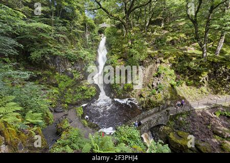 L'Aira Force cascade dans le Lake District à Ullswater, Cumbria UK Banque D'Images