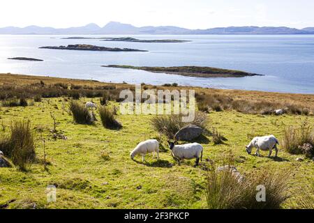 L'île du Jura vue de l'autre côté de l'embouchure du Loch Sween depuis la péninsule de Knapdale, au nord de Kilmory, Argyll & Bute, Écosse, Royaume-Uni Banque D'Images