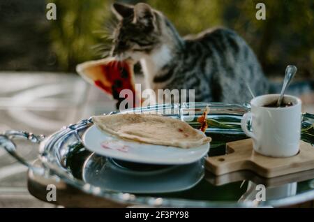 Le chat s'en prend avec une crêpe volée dans une assiette de crêpes avec de la confiture sur le plateau argenté du petit déjeuner. Concept: Moments drôles avec les animaux de compagnie Banque D'Images
