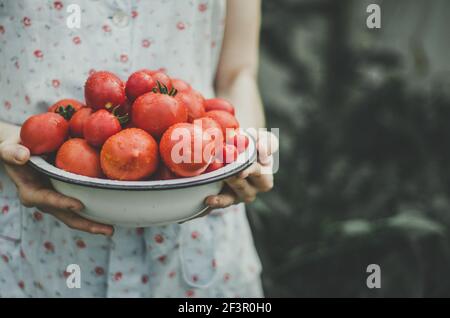 Femme en robe bleu clair tenant un bol rempli de tomates mûres rouges fraîchement récoltées avec des gouttes d'eau sur, bio-agriculture Banque D'Images