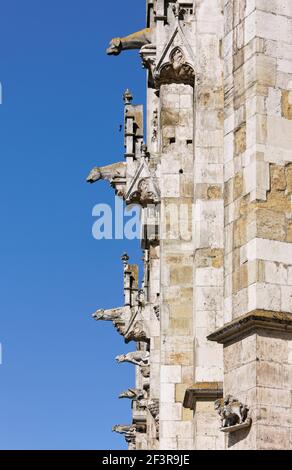 Wasserspeier an der S¸dseite, Regensburg, Dom St. Peter Stock Photo