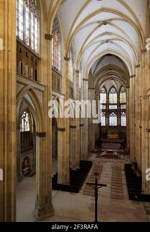 Blick von der Westempore nach Osten, Regensburg, Dom St. Peter Banque D'Images