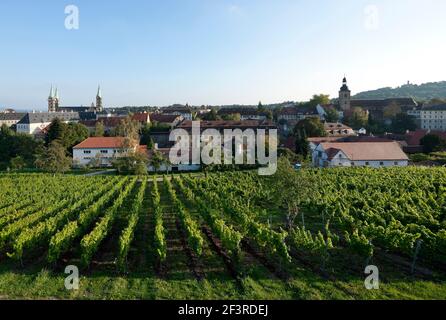 Blick vom Terrassengarten des Klosters Michelsberg auf den Dom, St. Michael-View de la terrasse à Bamberg, Bamberg, Michaelsbergblick Banque D'Images