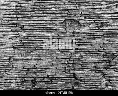 Gros plan image abstraite en noir et blanc de bois abîmé montrant des motifs et une texture complexes, illustrant les effets de la météo sur le bois. Banque D'Images