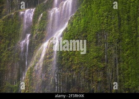 Cascade saisonnière le long du ruisseau Tanner de l'Oregon Banque D'Images