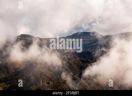 Brouillard dans les montagnes verdoyantes, pris à l'île de Sao Miguel, les Açores destination de voyage. Banque D'Images