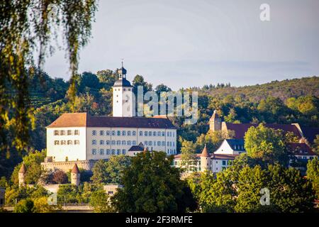 Le beau château de Horneck à Gundelsheim, Bade-Wurtemberg, Allemagne, Europe Banque D'Images