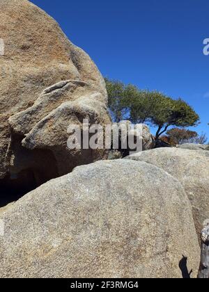 Palaos, Sardaigne, Italie. Roche de granit typique Banque D'Images