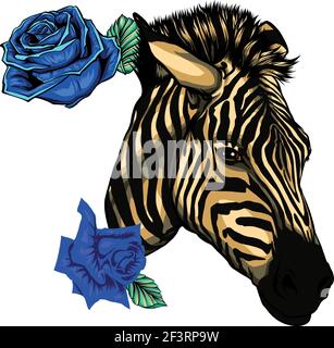 illustration vectorielle de la tête de zèbre avec des roses bleues Illustration de Vecteur