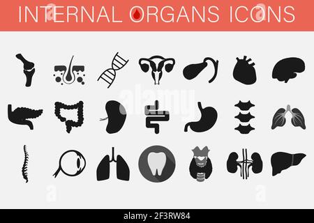 Ensemble d'icônes des organes internes et des parties de l'homme. Illustration de Vecteur