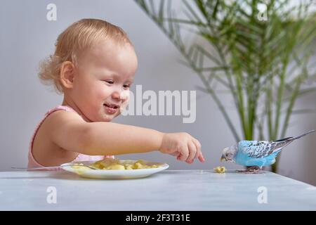 Un enfant nourrit un copains d'animal de compagnie de son assiette Banque D'Images