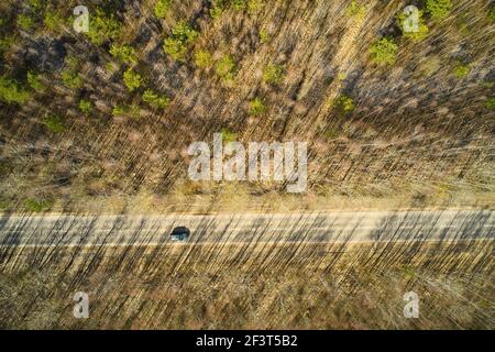 Vue aérienne de la route en forêt. Banque D'Images