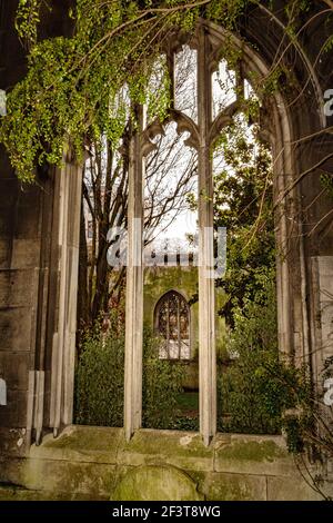 Fenêtres voûtées gothiques dans les vestiges de St Dunstan à l'est, Londres Banque D'Images