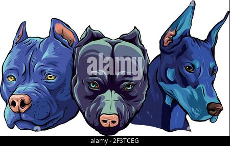 Têtes de chiens Pitbull dobermann bulldog vector Illustration de Vecteur