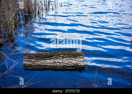 Poznan, Wielkopolska, Pologne. 17 mars 2021. Le ciel de mars se reflète dans les eaux ondulées du lac Rusalka. Credit: Dawid Tatarkiewicz/ZUMA Wire/Alay Live News Banque D'Images