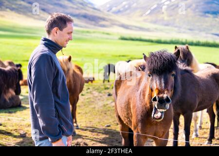 Jeune homme heureux debout par des chevaux islandais dans une écurie d'extérieur Ferme dans la campagne islandaise ferme rurale avec les montagnes Sulur et faire du cheval drôle f Banque D'Images